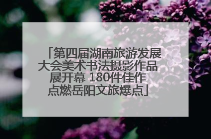 第四届湖南旅游发展大会美术书法摄影作品展开幕 180件佳作点燃岳阳文旅爆点