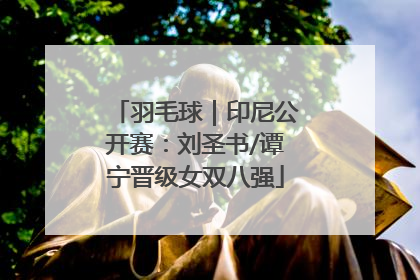 羽毛球｜印尼公开赛：刘圣书/谭宁晋级女双八强