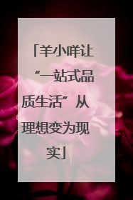 羊小咩让“一站式品质生活”从理想变为现实