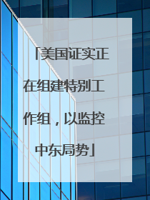 美国证实正在组建特别工作组，以监控中东局势