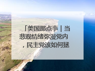 美国那点事｜当悲观情绪弥漫党内，民主党该如何拯救自己？