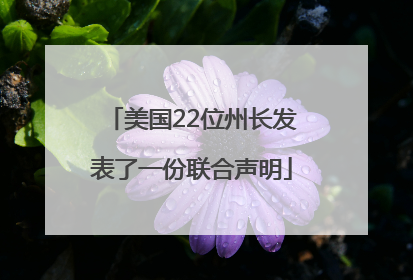 美国22位州长发表了一份联合声明