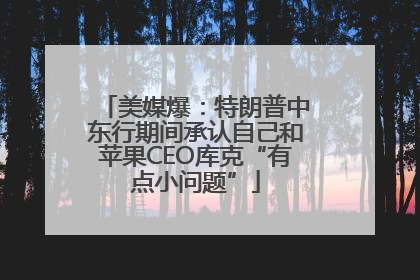 美媒爆：特朗普中东行期间承认自己和苹果CEO库克“有点小问题”