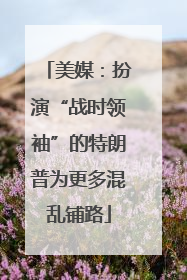 美媒：扮演“战时领袖”的特朗普为更多混乱铺路