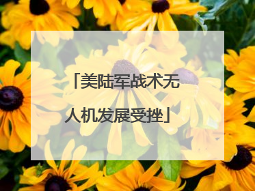 美陆军战术无人机发展受挫