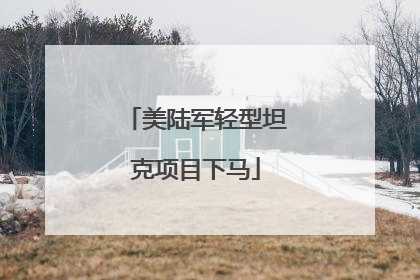 美陆军轻型坦克项目下马