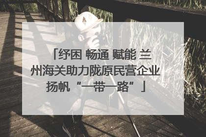 纾困 畅通 赋能 兰州海关助力陇原民营企业扬帆“一带一路”