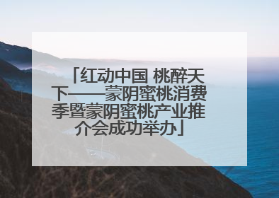 红动中国 桃醉天下——蒙阴蜜桃消费季暨蒙阴蜜桃产业推介会成功举办