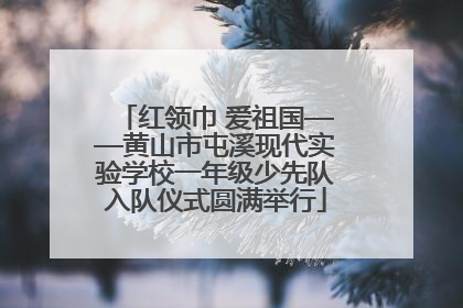 红领巾 爱祖国——黄山市屯溪现代实验学校一年级少先队入队仪式圆满举行