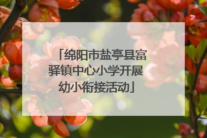 绵阳市盐亭县富驿镇中心小学开展幼小衔接活动