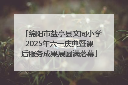 绵阳市盐亭县文同小学2025年六一庆典暨课后服务成果展圆满落幕