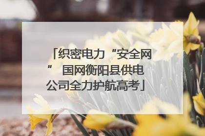织密电力“安全网” 国网衡阳县供电公司全力护航高考