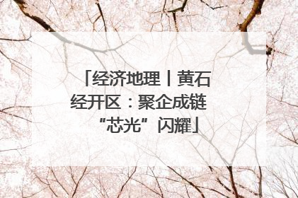 经济地理丨黄石经开区：聚企成链“芯光”闪耀