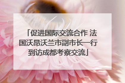 促进国际交流合作 法国沃昂沃兰市副市长一行到访成都考察交流