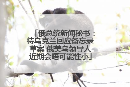 俄总统新闻秘书：待乌克兰回应备忘录草案 俄美乌领导人近期会晤可能性小