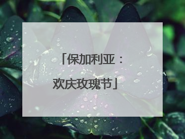保加利亚：欢庆玫瑰节