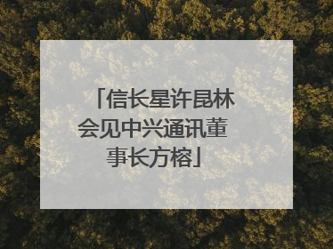 信长星许昆林会见中兴通讯董事长方榕
