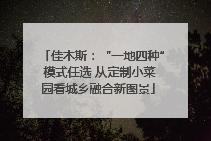 佳木斯：“一地四种” 模式任选 从定制小菜园看城乡融合新图景