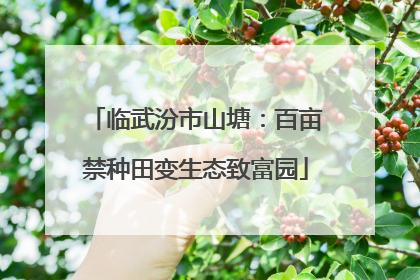 临武汾市山塘：百亩禁种田变生态致富园
