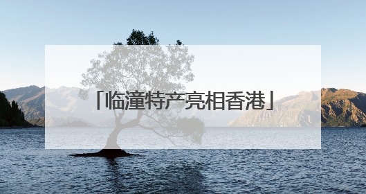 临潼特产亮相香港