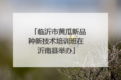 临沂市黄瓜新品种新技术培训班在沂南县举办