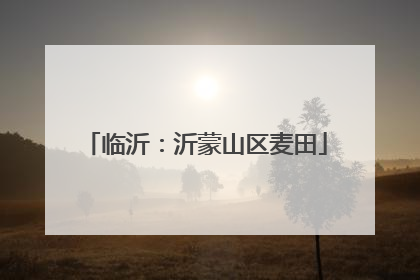 临沂：沂蒙山区麦田