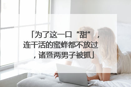 为了这一口“甜”，连干活的蜜蜂都不放过，诸暨两男子被抓