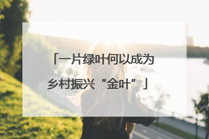 一片绿叶何以成为乡村振兴“金叶”