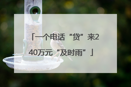一个电话“贷”来240万元“及时雨”
