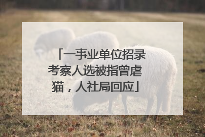 一事业单位招录考察人选被指曾虐猫，人社局回应