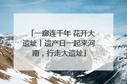 一廊连千年 花开大遗址丨遗产日一起来河南，行走大遗址