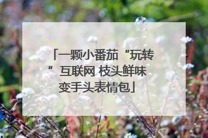 一颗小番茄“玩转”互联网 枝头鲜味变手头表情包