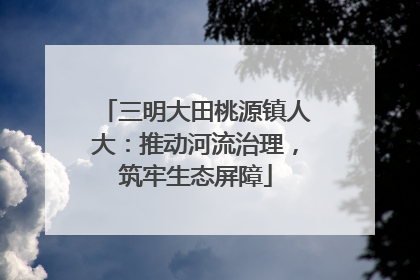 三明大田桃源镇人大：推动河流治理，筑牢生态屏障