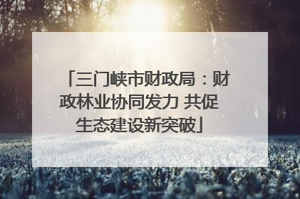 三门峡市财政局：财政林业协同发力 共促生态建设新突破