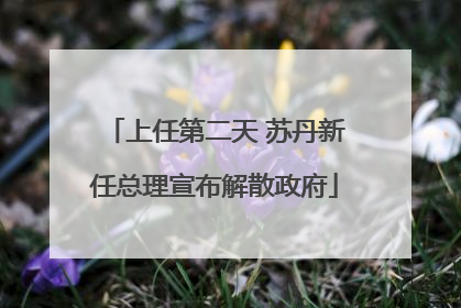 上任第二天 苏丹新任总理宣布解散政府