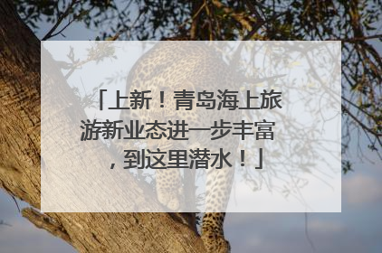 上新！青岛海上旅游新业态进一步丰富，到这里潜水！