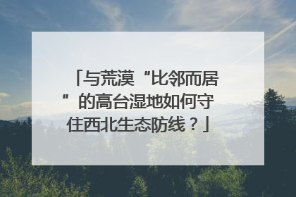 与荒漠“比邻而居”的高台湿地如何守住西北生态防线？