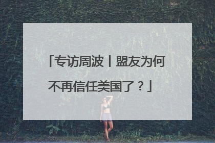 专访周波丨盟友为何不再信任美国了？