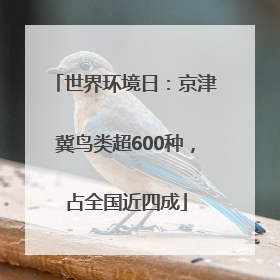 世界环境日：京津冀鸟类超600种，占全国近四成