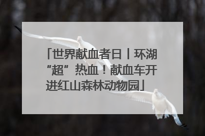 世界献血者日丨环湖“超”热血！献血车开进红山森林动物园