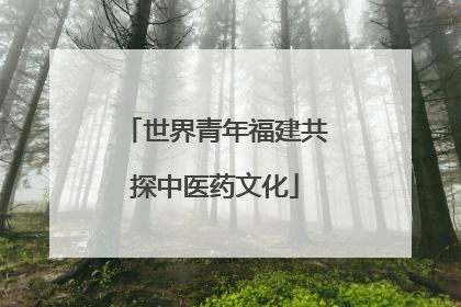 世界青年福建共探中医药文化