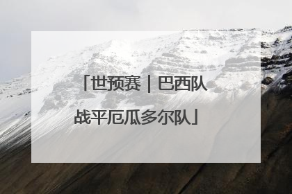 世预赛｜巴西队战平厄瓜多尔队