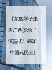 东盟学子走进广西多地“沉浸式”感知中国式民主