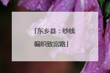 东乡县：纱线编织致富路