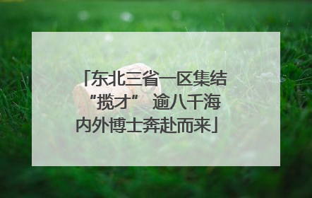 东北三省一区集结“揽才” 逾八千海内外博士奔赴而来