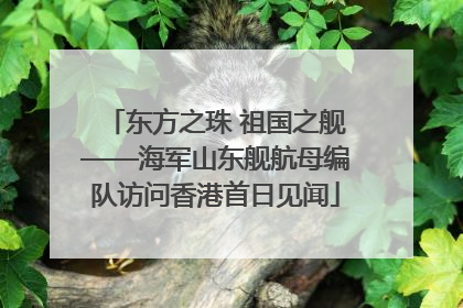 东方之珠 祖国之舰——海军山东舰航母编队访问香港首日见闻