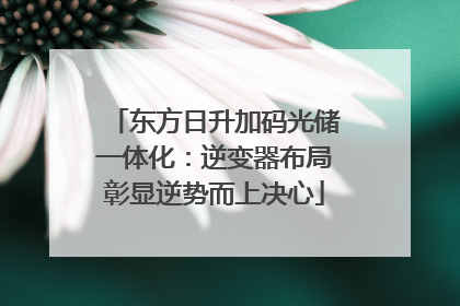 东方日升加码光储一体化：逆变器布局彰显逆势而上决心