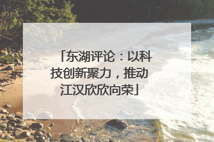 东湖评论：以科技创新聚力，推动江汉欣欣向荣