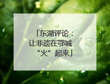 东湖评论：让非遗在鄂城“火”起来