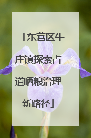 东营区牛庄镇探索占道晒粮治理新路径